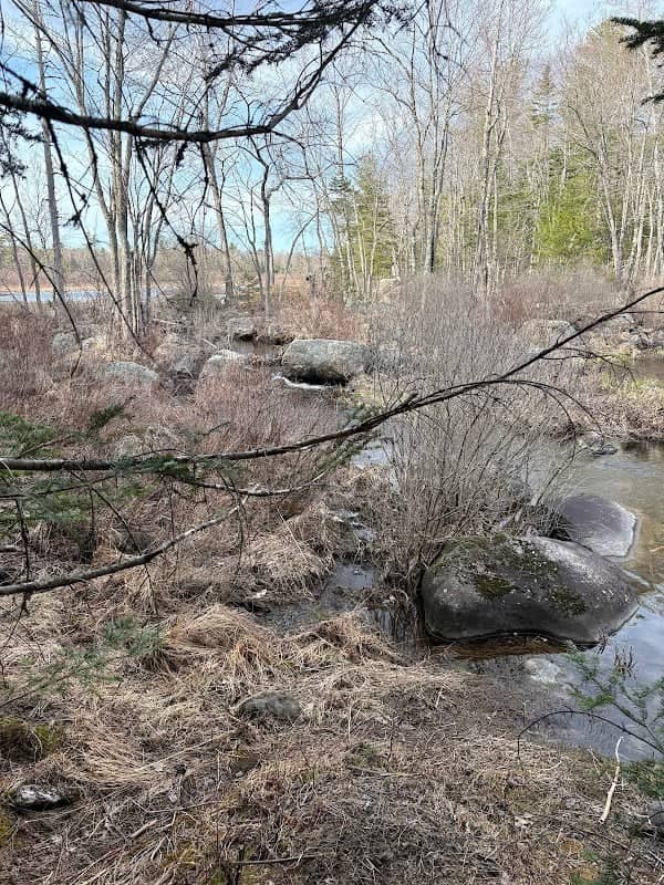 Meadow Brook Preserve - Image 1