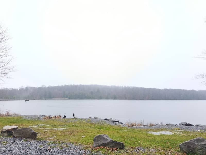 State Fish Lands - Image 1