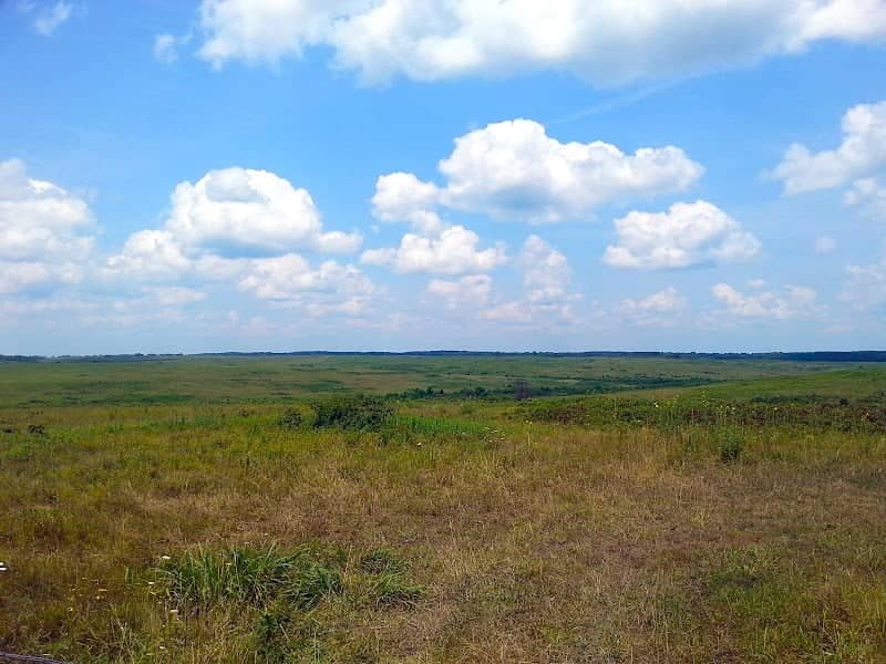 Wah-kon-tah Prairie - Image 1