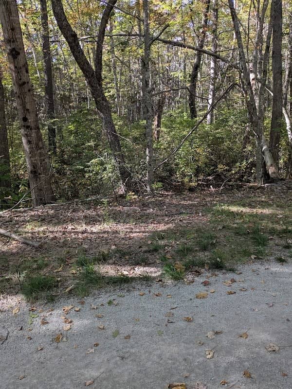 City of Portsmouth Land - Image 1