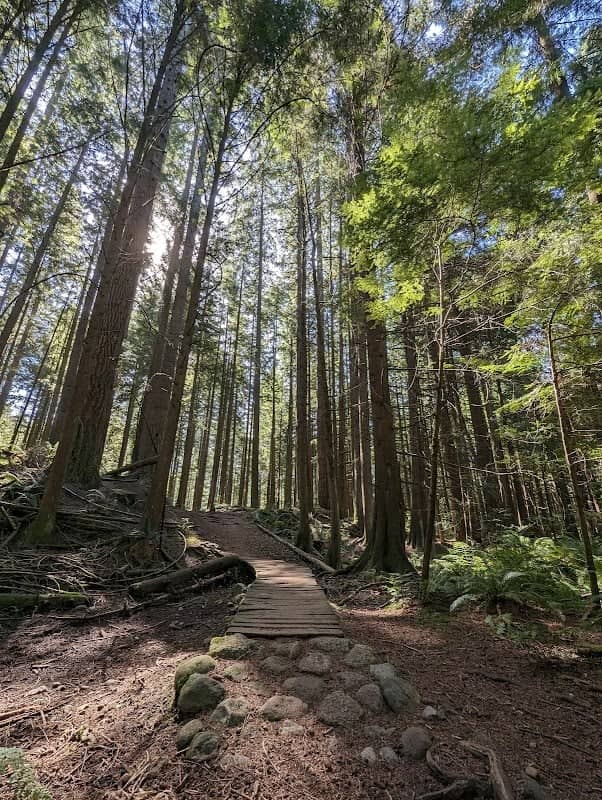 Saunders Trail - Image 2