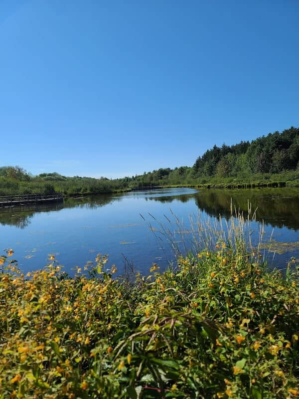 Robert McQuisten Recreation Area - Image 2