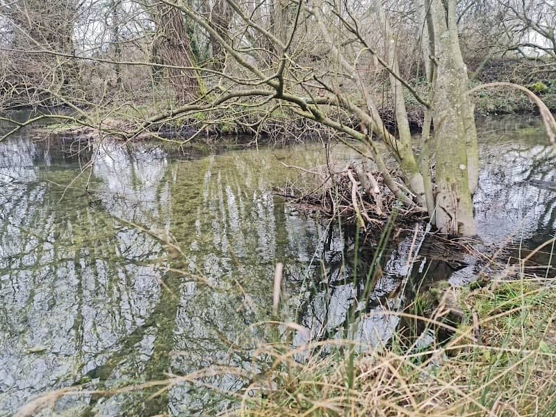 Willow Meadow - Image 2