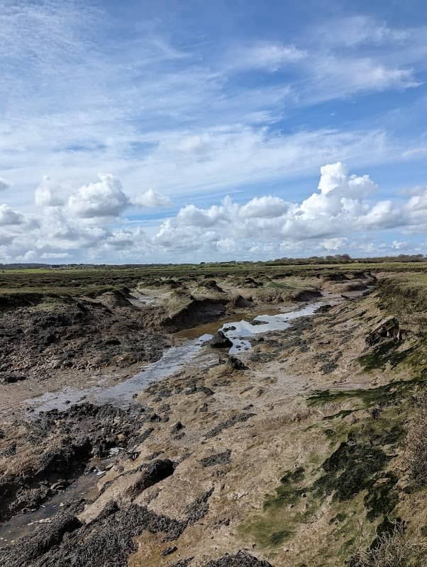 Brandy Hole Saltmarsh - Image 1