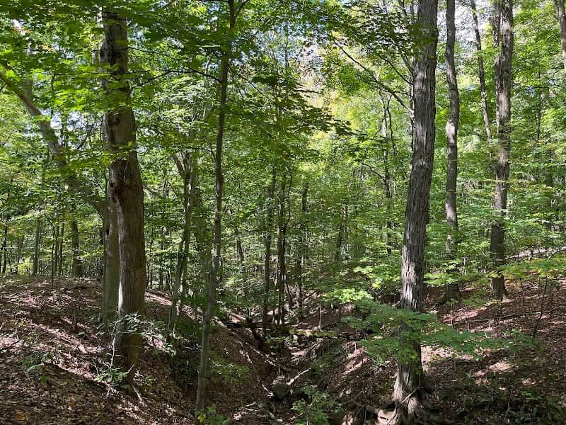 Rocky Run Ravine - Image 1