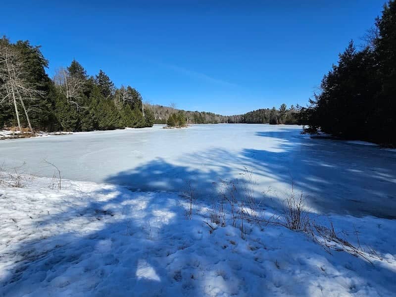 Silver Lake Woods – Parking - Image 2