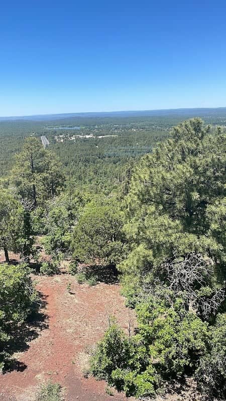 Springer Mountain Fire Lookout - Image 2