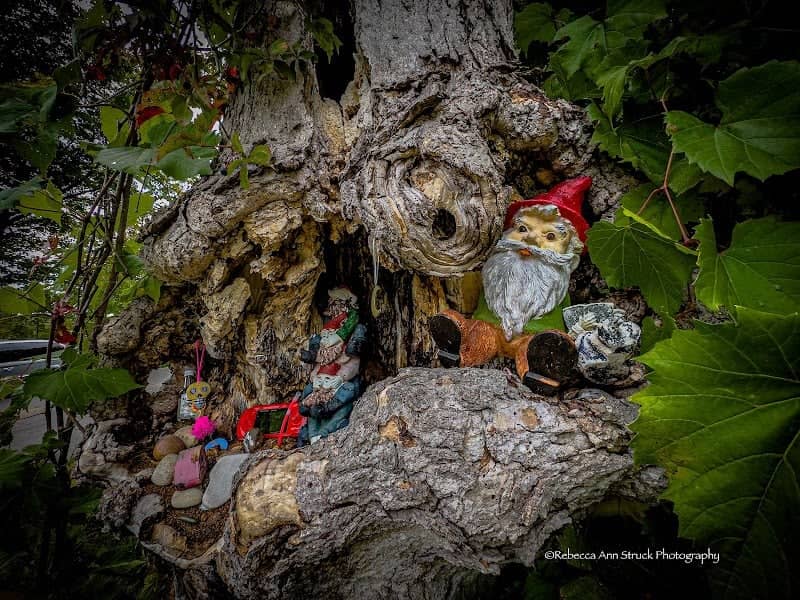 Fairy Tree - Image 2