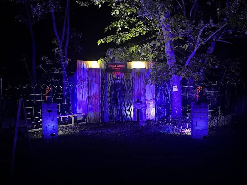Gorgas street horror - Image 2
