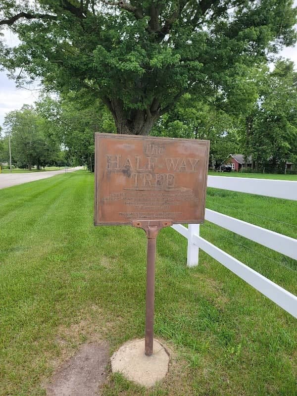 Half Way Tree - Image 1