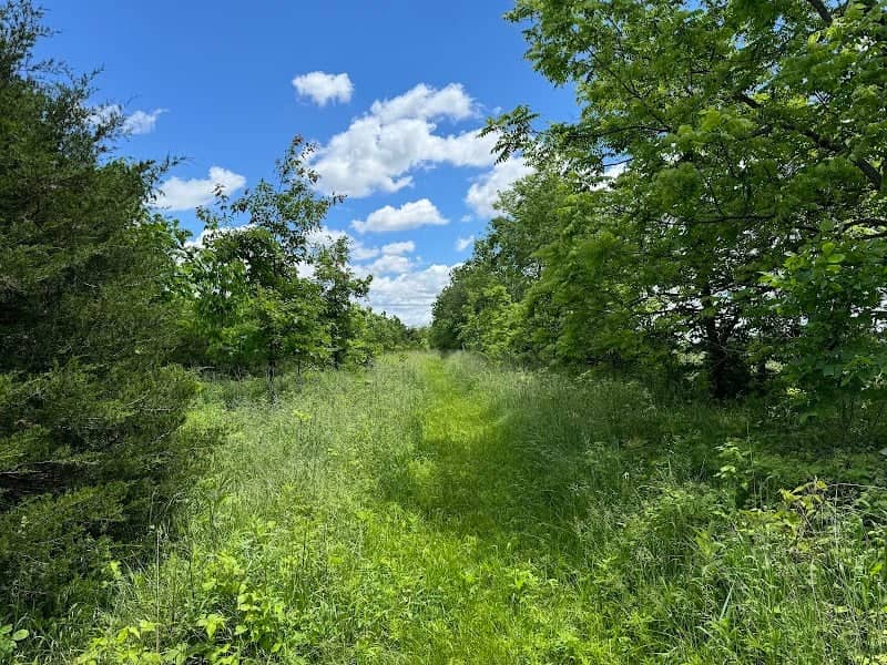 Big Walnut Nature Preserve - Rayfield Trail - Image 1