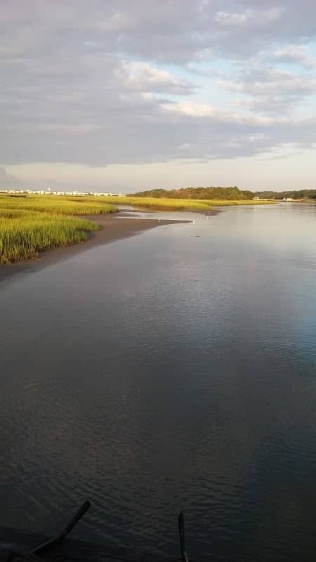 Ferry Landing Park - Image 1