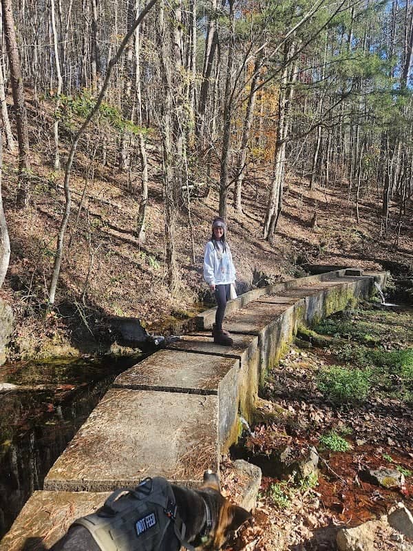 Putnam Springs - Image 2
