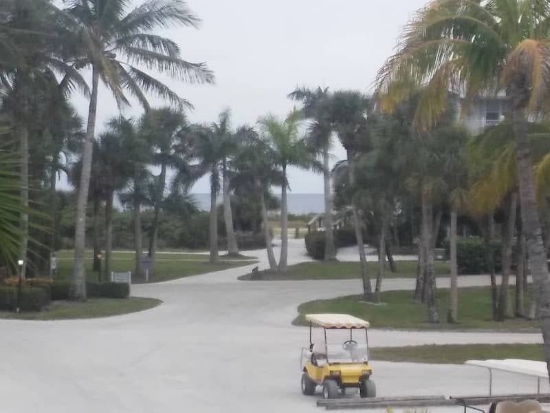 Thornton Key Preserve - Image 2