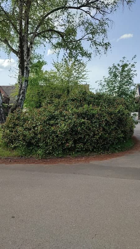 Flieder Park - Image 1
