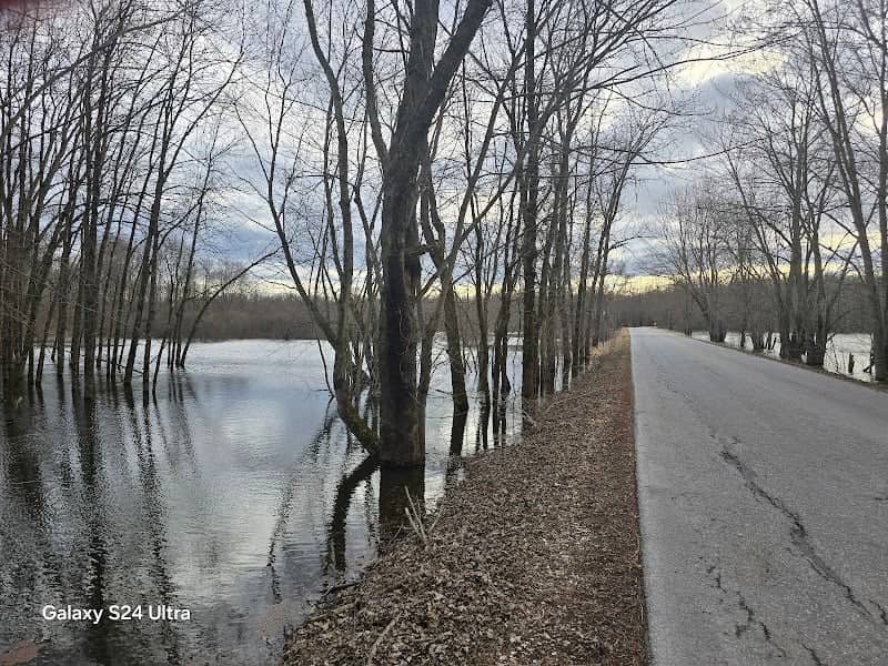 Otter Creek Swamps Natural Area - Image 1