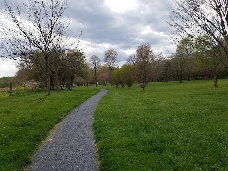 Cook's Creek Arboretum - Image 2