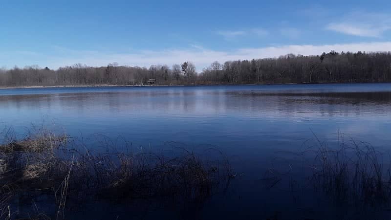 Jeptha Lake Fen - Image 2