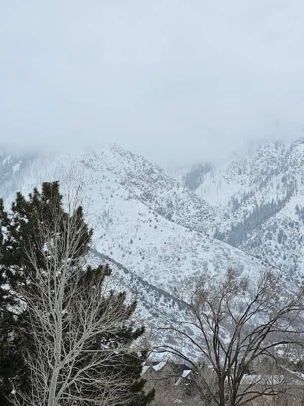 Maple Hollow Park - Image 1