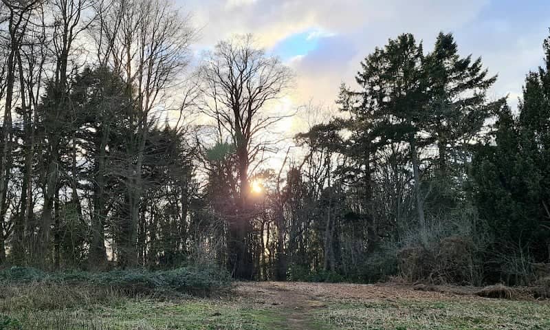 Brandon Halls Woodland Walk - Image 2