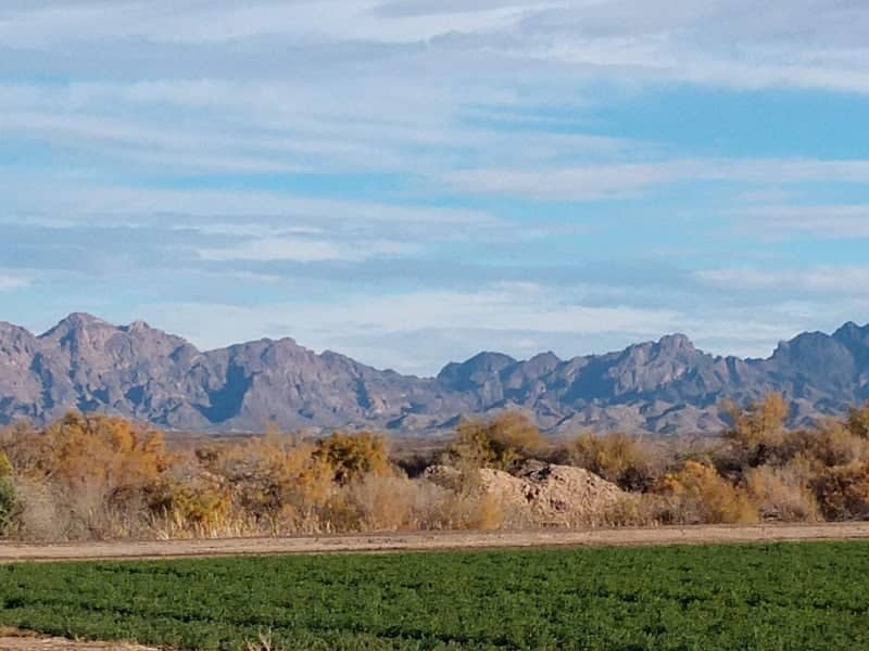 Cibola National Wildlife Refuge - Image 1