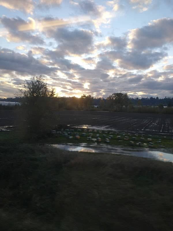 Lake Tapps Parkway Trail access - Image 2