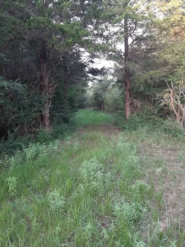 Dupree Park & Nature Preserve - Image 2