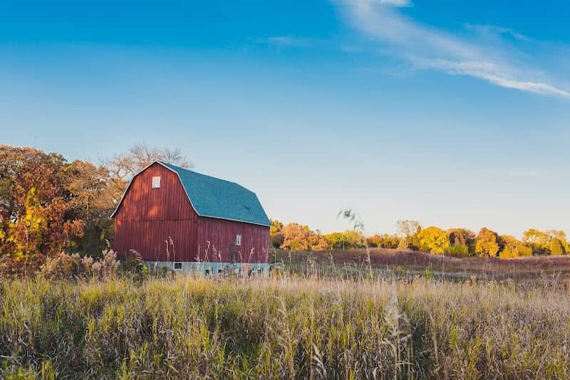 Dodge Nature Center – Lilly Property - Image 3