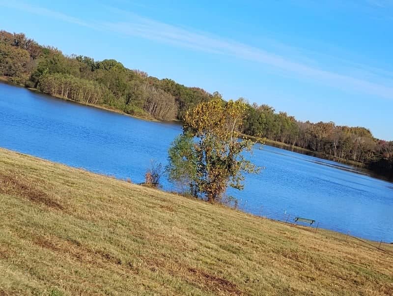 City Park - Image 1