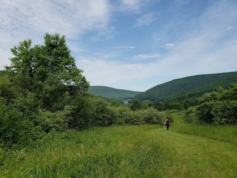Mill Cove Environmental Area - Image 3