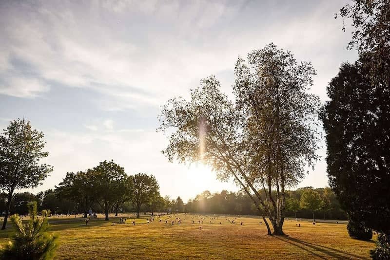 Sky-View Memorial Park - Image 1
