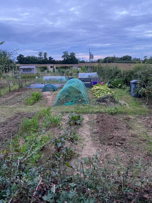 Burton allotments - Image 1