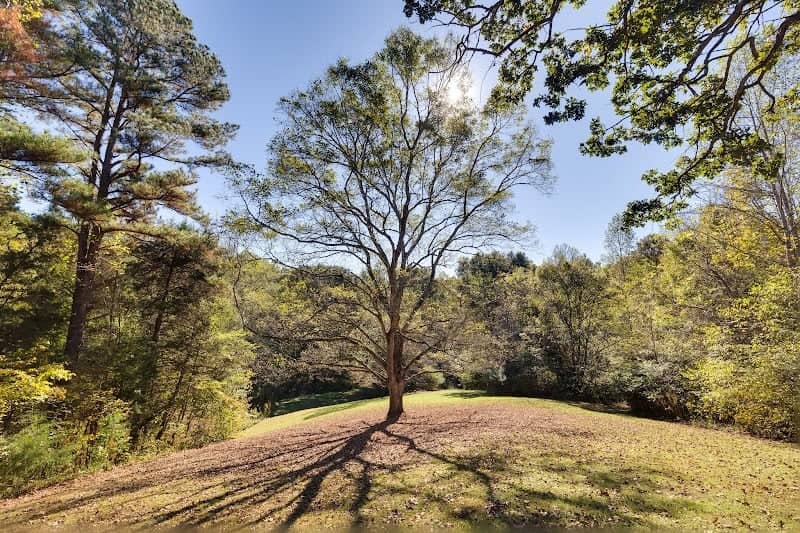 Alamance Parks - Image 1