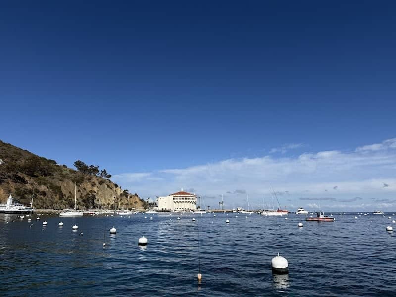 Avalon Bay - Image 3