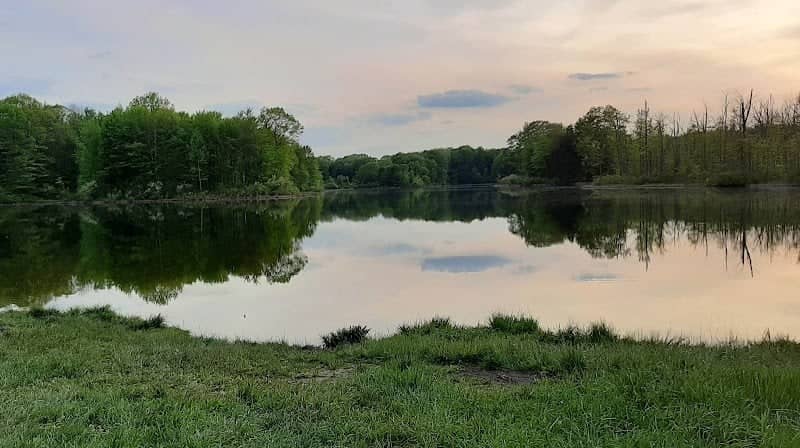 New Lyme Wildlife Area - Image 1