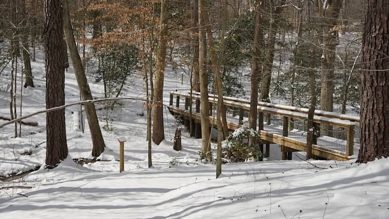 The Heritage Trail - Image 1