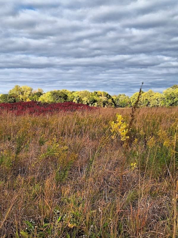 Weaver Park - Image 2