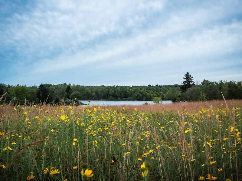 Lake La Su An Wildlife Area - Image 2