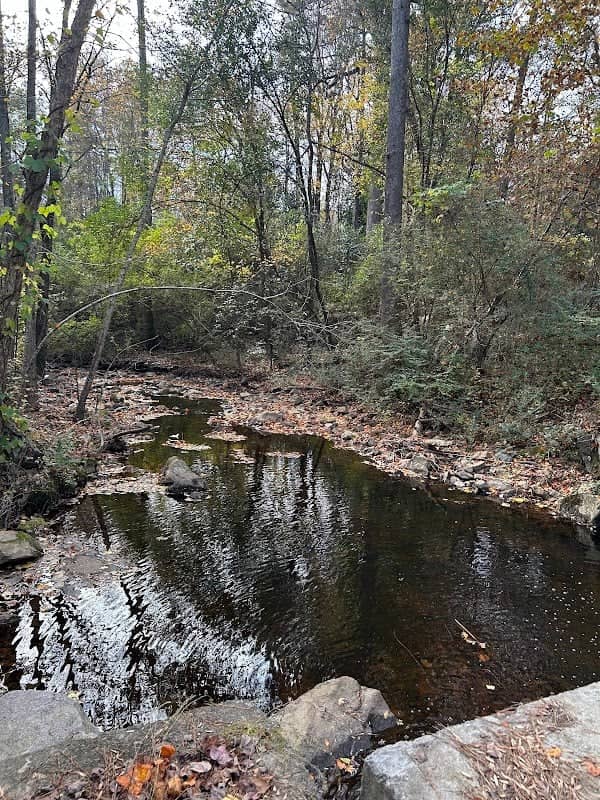 Cross Country Trail - Image 2