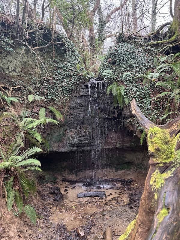 Bierley Waterfall - Image 2
