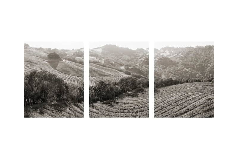 Cain Vineyard & Winery - Image 1