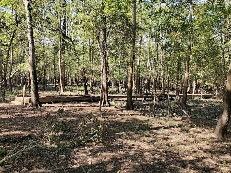 Knobby Knees Trailhead , Trinity River National Wildlife Refuge - Image 1