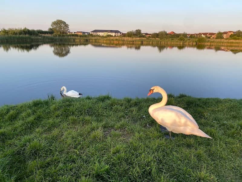 Wilstock & Stockmoor Country Park - Image 1