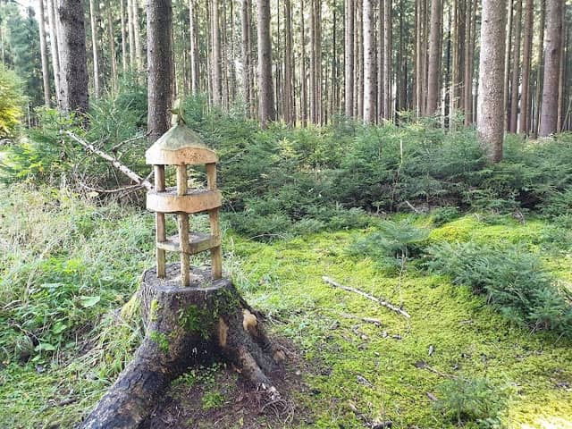 Holzkunstwerk im Wald - Image 3