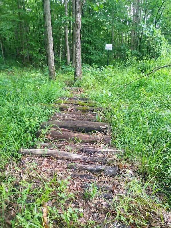 Ashcroft Woods Conservation Area - Image 1