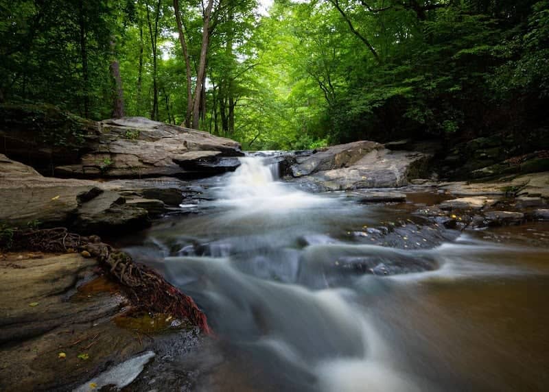 Raven Rock State Park Bridle Trails - Image 1
