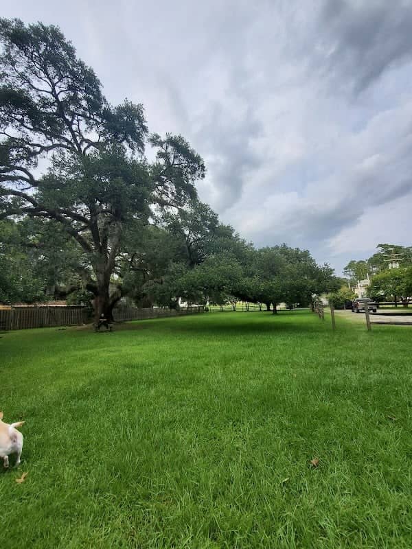 Spring Park - Image 3