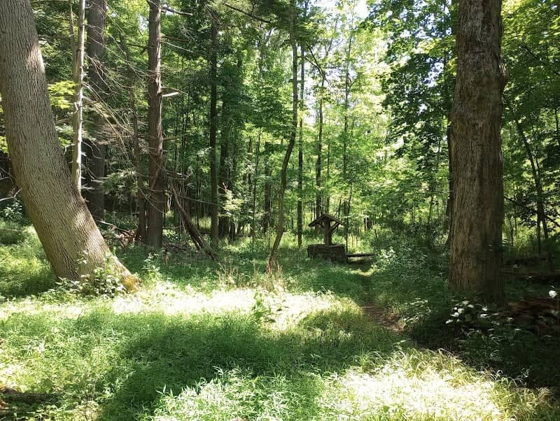 The Madison Lewis Woodlands - Image 2