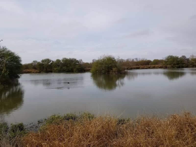 Cook's Slough Sanctuary - Image 1