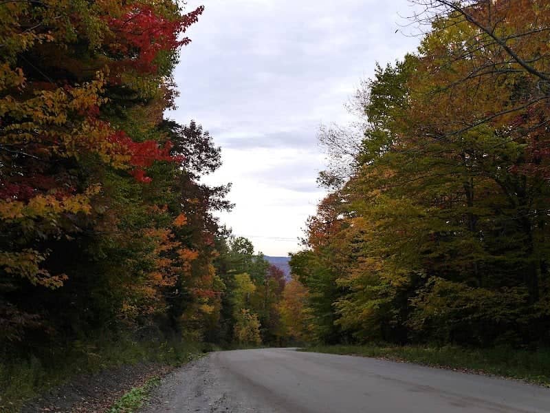 Roxbury State Forest - Image 1